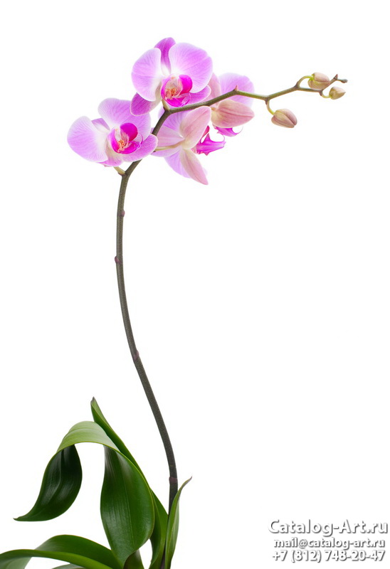 Натяжные потолки с фотопечатью - Розовые орхидеи 44